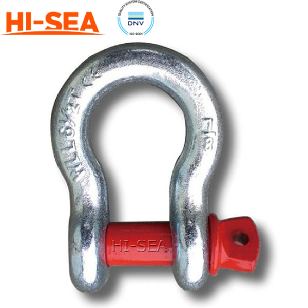 G209 Screw Pin Anchor Shackle